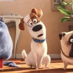 23. The Secret Life of Pets (2016)